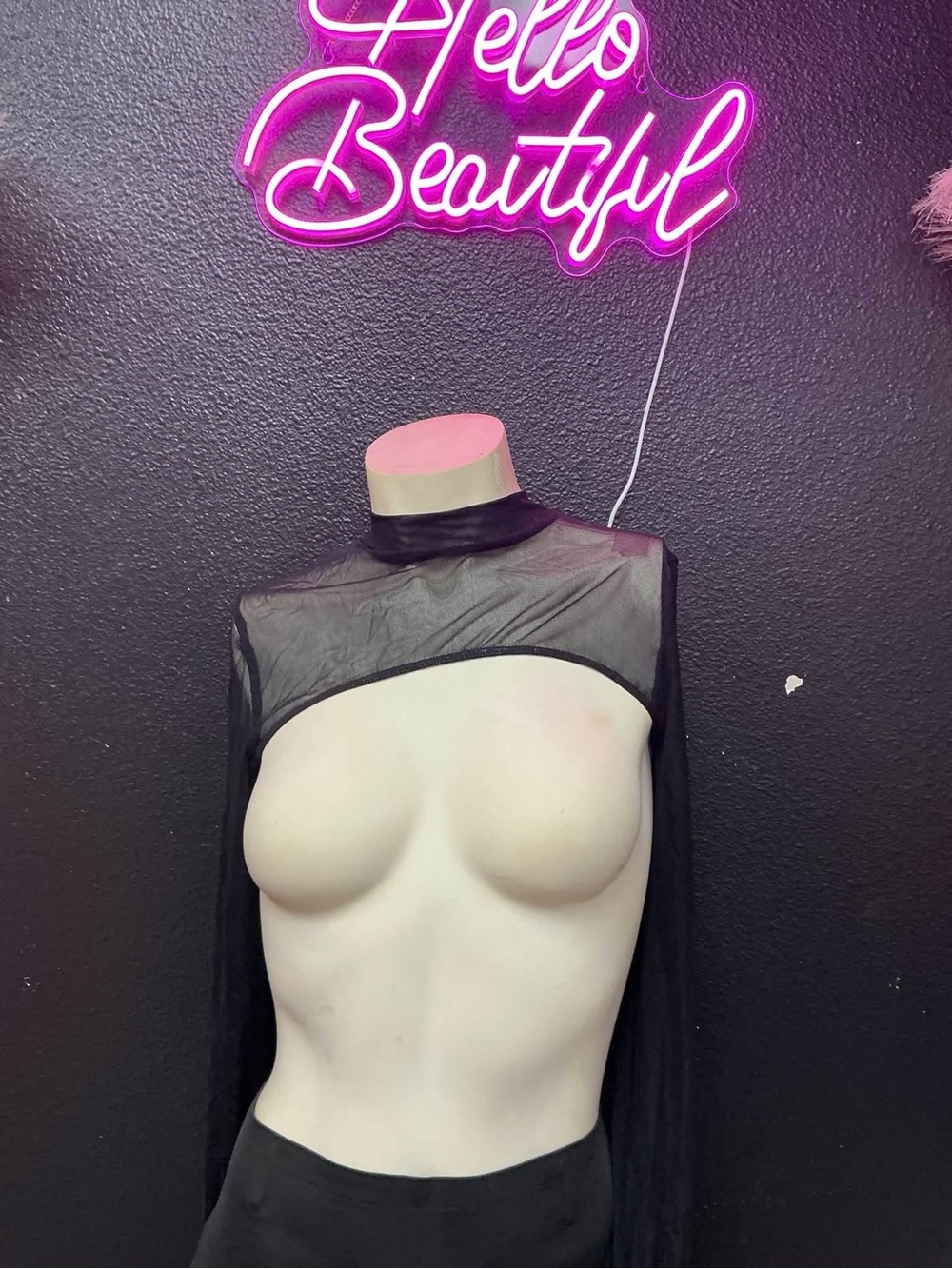 Sheer Mock Neck Crop Top in Black long sleeve